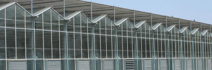陽光板溫室與連棟薄膜溫室大棚的區別